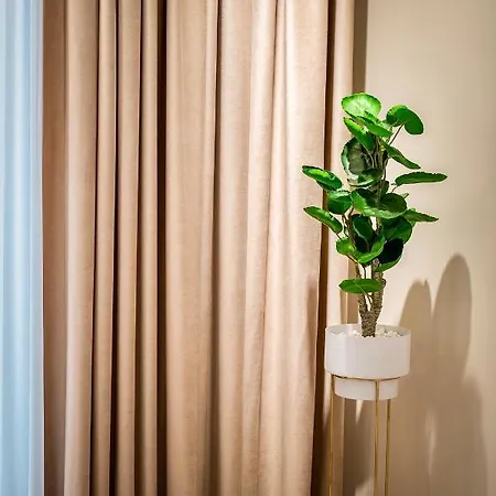 Zafi Lakeview Apartment *