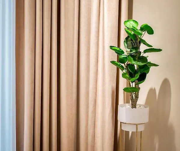 Zafi Lakeview Apartment *